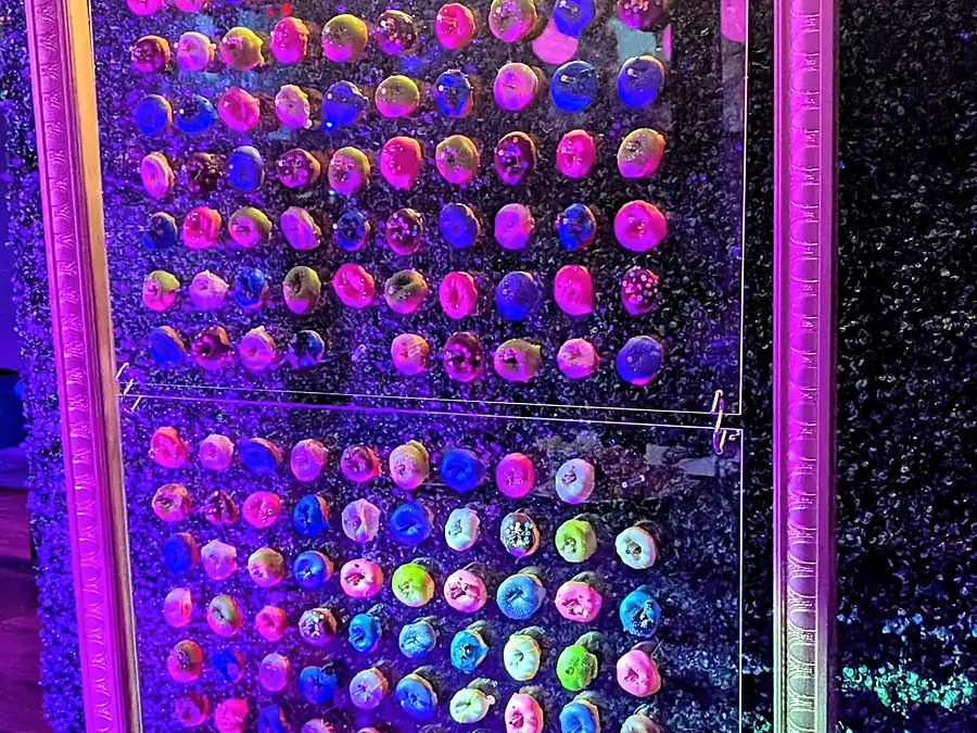 Glowing donut wall at an evening event with donuts on display and branded boxes